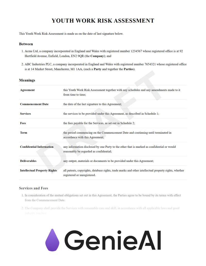Youth Work Risk Assessment preview